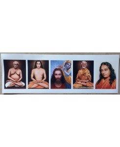 Photograph of 5 Masters - color
