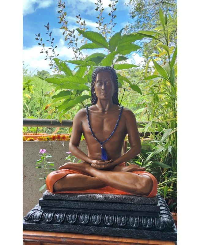 Mahavatar Babaji idol