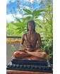 Mahavatar Babaji idol