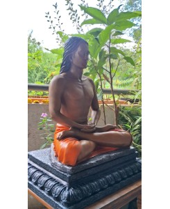 Mahavatar Babaji idol