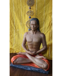 Mahavatar Babaji idol